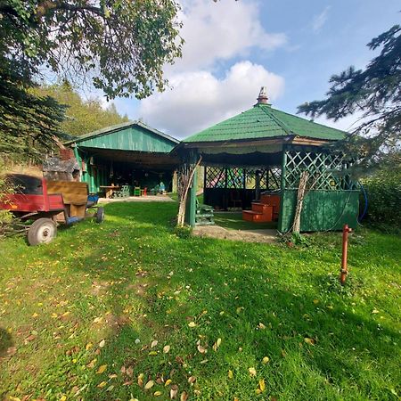 Villa Agroturystyka Zielone Wzgorze à Sikorzyno Extérieur photo