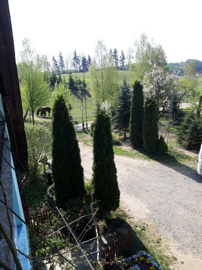 Agroturystyka Zielone Wzgorze Sikorzyno Extérieur photo